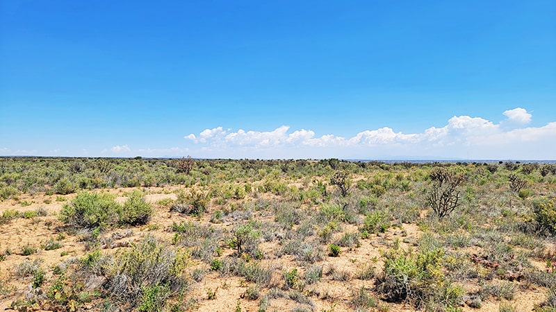 Open land in Rio Rancho